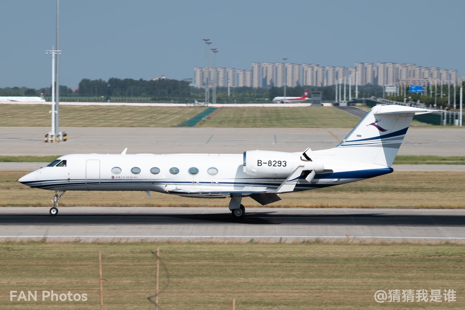 B-8293